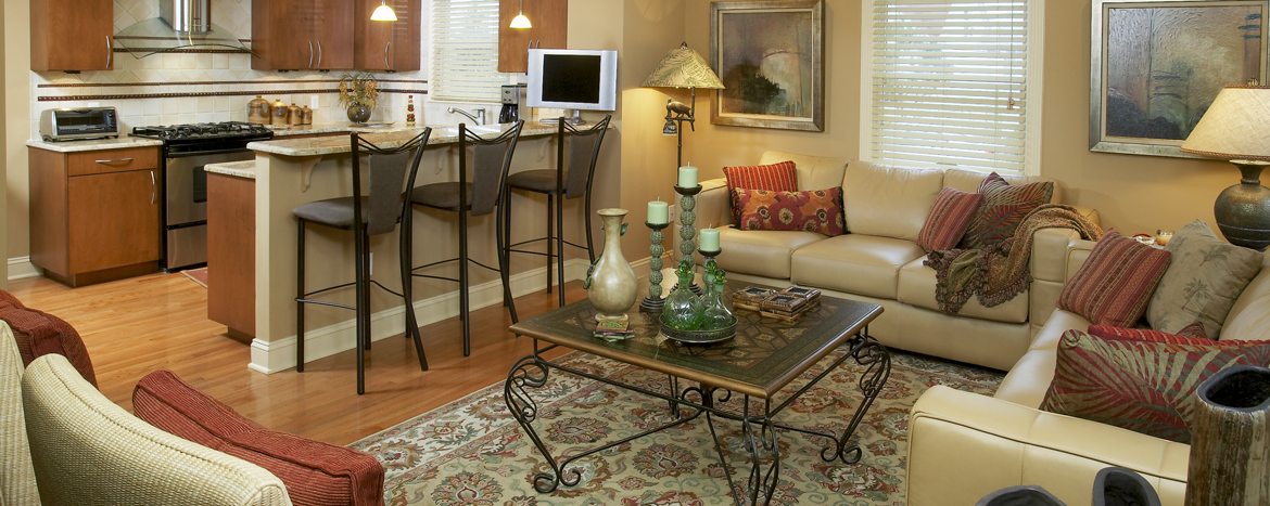 A contemporary Great Room and Kitchen